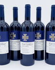 Fontodi Flaccianello della Pieve 2021