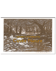 Lou Dumont Gevrey-Chambertin Cuvee Nature 2022