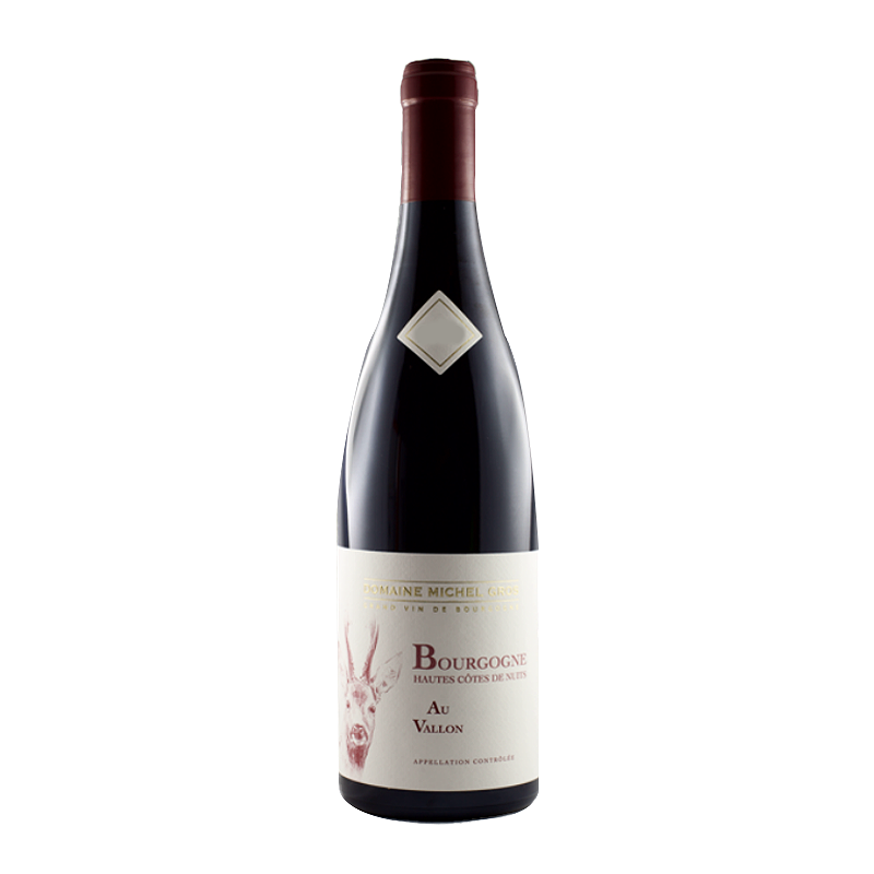 Domaine Michel Gros Bourgogne Hautes Cotes de Nuits Rouge Au Vallon 2021