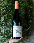 Domaine Chaud When You Hear Hoofbeats Think Of Horses Not Zebras 2023 しまうま