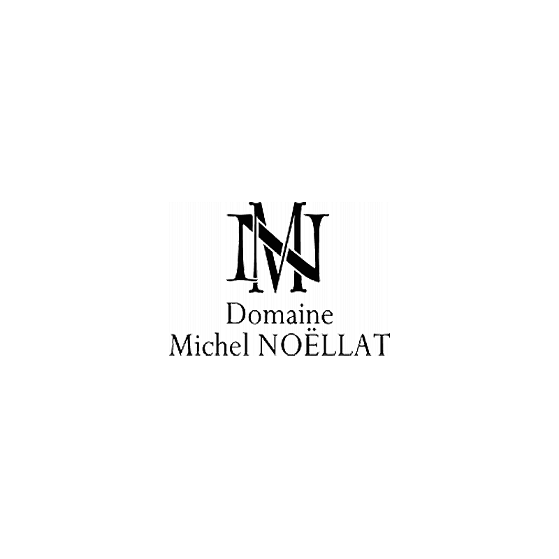 Domaine Michel Noellat Nuits Saint Georges 1er Aux Boudots 2021