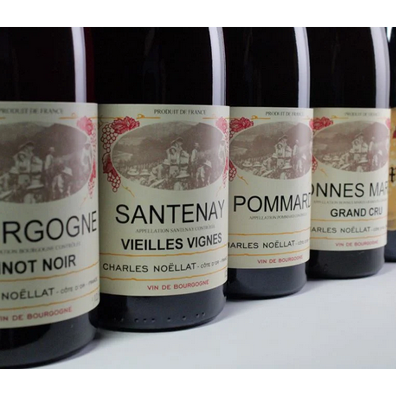 Charles Noellat Nuits Saint Georges 2014