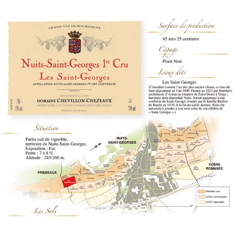 Domaine Chevillon Chezeaux Nuits Saint Georges 1er Cru Les Saint Georges 2020