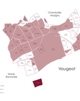 Domaine Jean-Marc Millot Bourgogne Passetoutgrains Les Autrots 2023