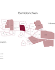Domaine Jean-Marc Millot Cote de Nuits Villages Aux Faulques 2023