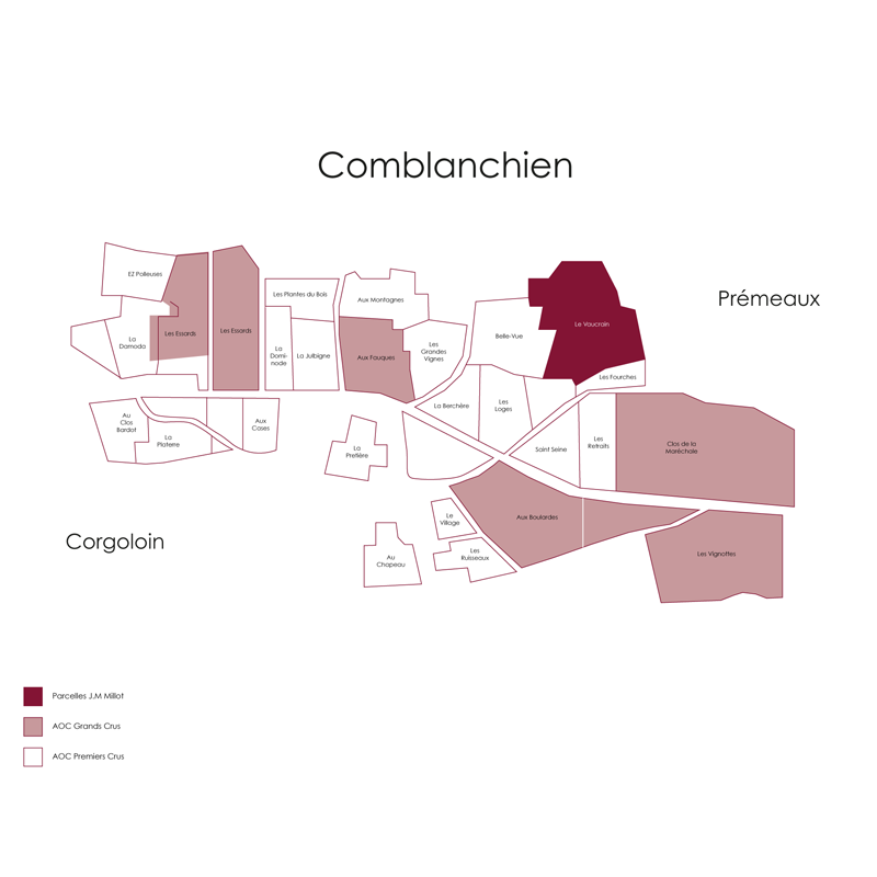 Domaine Jean-Marc Millot Cote de Nuits Villages Le Vaucrain 2023