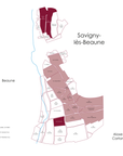 Domaine Jean-Marc Millot Savigny les Beaune 2023