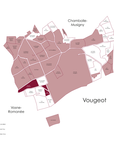 Domaine Jean-Marc Millot Vosnes Romanee 2023