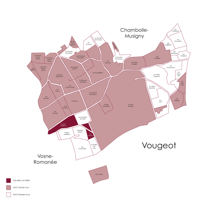 Domaine Jean-Marc Millot Vosnes Romanee 2023