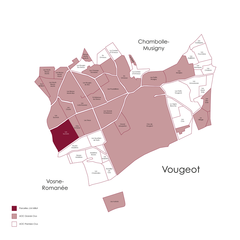 Domaine Jean-Marc Millot Vosnes Romanee 1er Cru Les Suchots 2023
