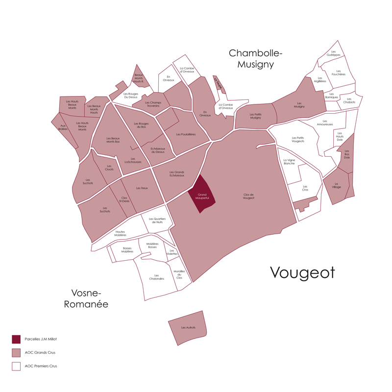 Domaine Jean-Marc Millot Clos Vougeot Maupertui Grand Cru 2023