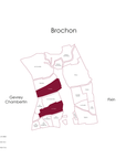Domaine Jean-Marc Millot Gevrey Chambertin 2023
