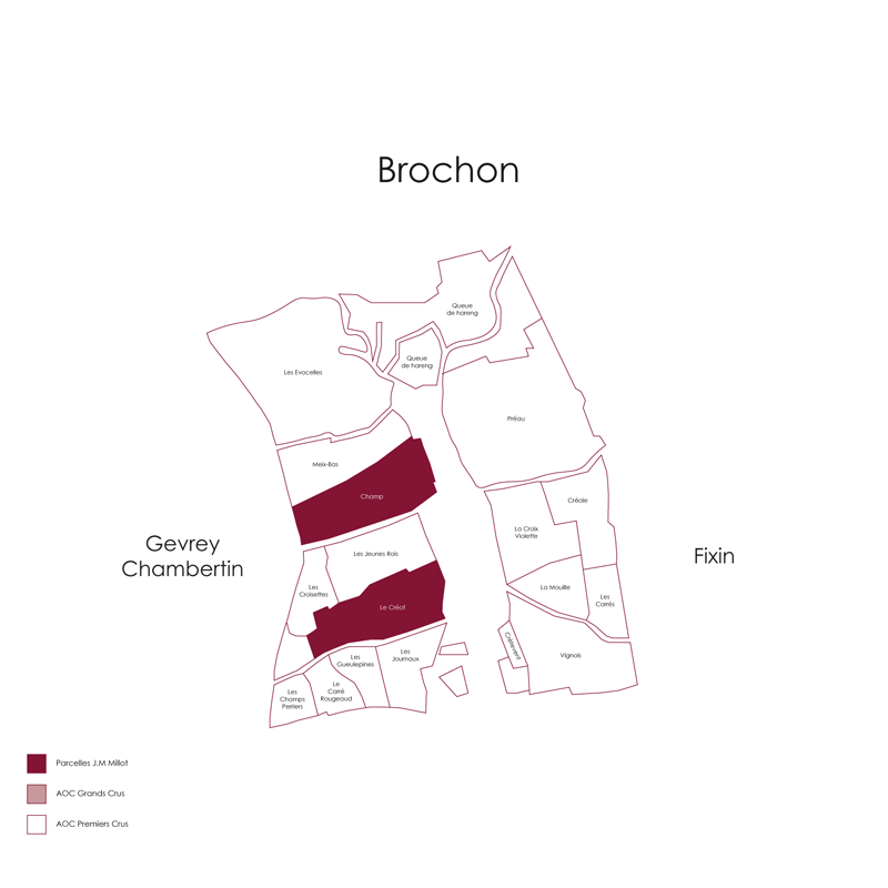Domaine Jean-Marc Millot Gevrey Chambertin 2023