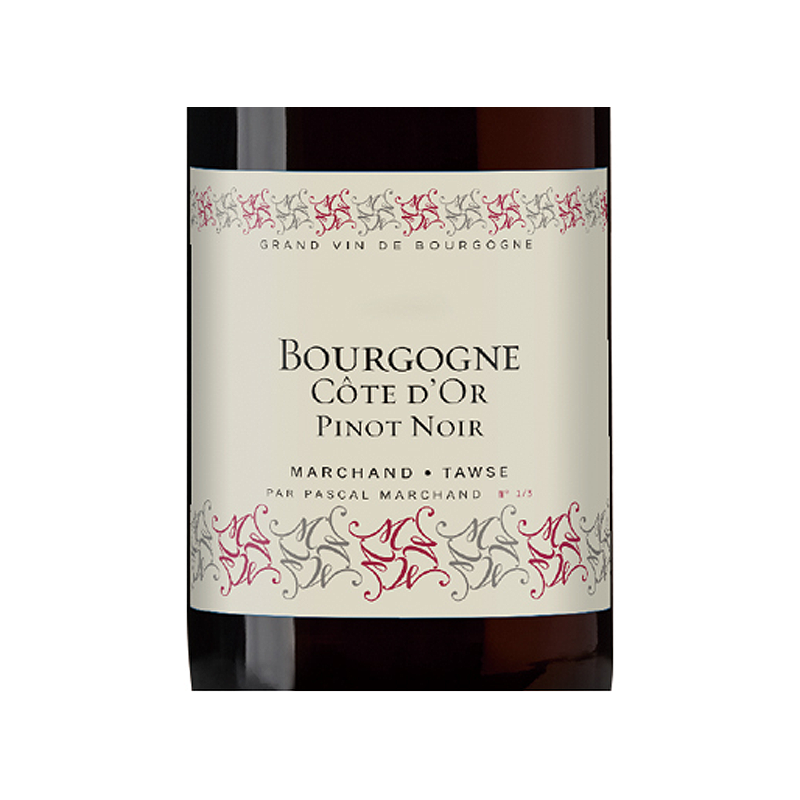 Marchand Tawse Bourgogne Cote d'Or Pinot Noir 2021