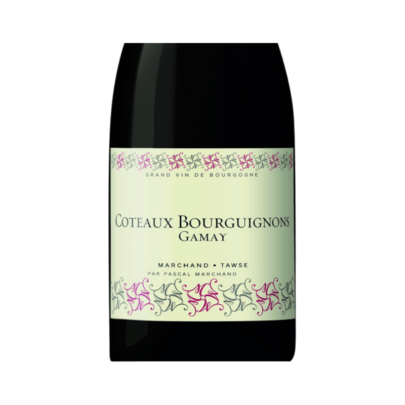Marchand Tawse Coteaux Bourguignons Gamay 2021