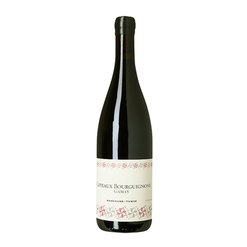 Marchand Tawse Coteaux Bourguignons Gamay 2021